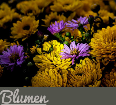 Blumen