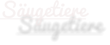 Säugetiere
