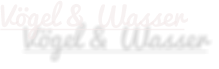 Vögel & Wasser