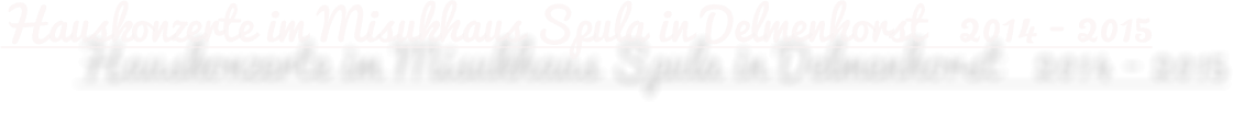 Hauskonzerte im Misukhaus Spula in Delmenhorst   2014 - 2015